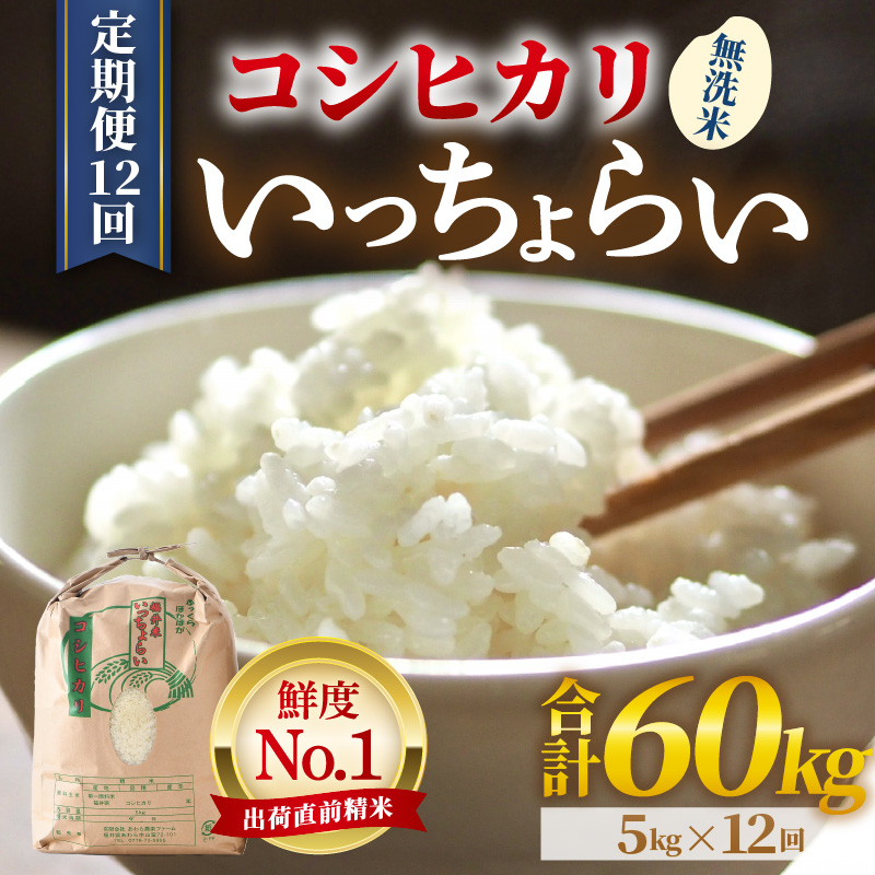 【令和7年産・新米】【一等米】《定期便12回》いっちょらい 無洗米 5kg × 12回（計60kg） ／ 福井県産 ブランド米 コシヒカリ ご飯 白米 新鮮 大賞 受賞 [aw012-l005]