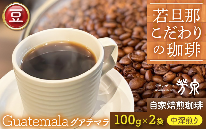 【豆タイプ】Caféだいな荘　自家焙煎コーヒーグアテマラ グランディア芳泉若旦那こだわりの珈琲 [aw014-a003_01]