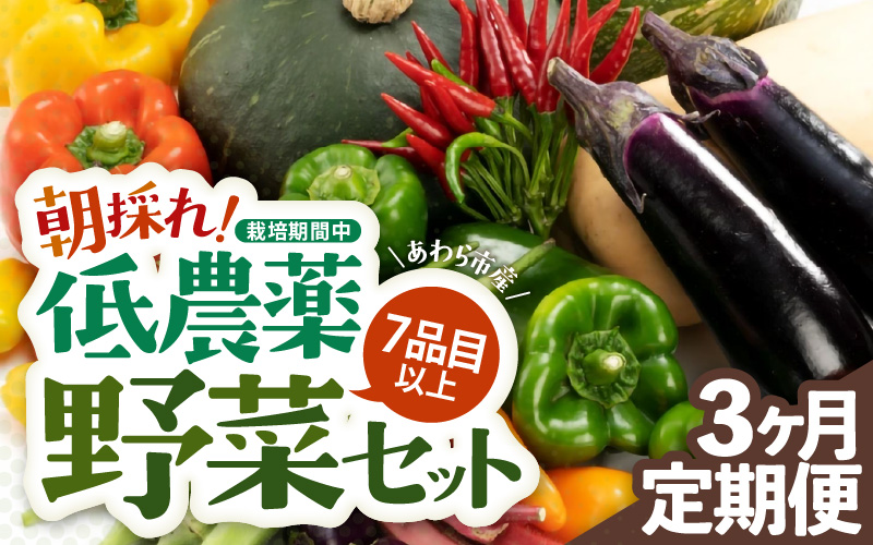 【3ヶ月連続お届け】農家直送 旬の野菜セット 7品目以上 1箱 ／ 定期便 3回 季節 野菜 ボックス BOX セット セレクト 農家 おまかせ 多品目 旬 詰め合わせ 根菜 葉物 [aw028-a001]