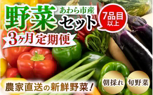 【3ヶ月連続お届け】農家直送 旬の野菜セット 7品目以上 1箱 ／ 定期便 3回 季節 野菜 ボックス BOX セット セレクト 農家 おまかせ 多品目 旬 詰め合わせ 根菜 葉物 [aw028-a001]