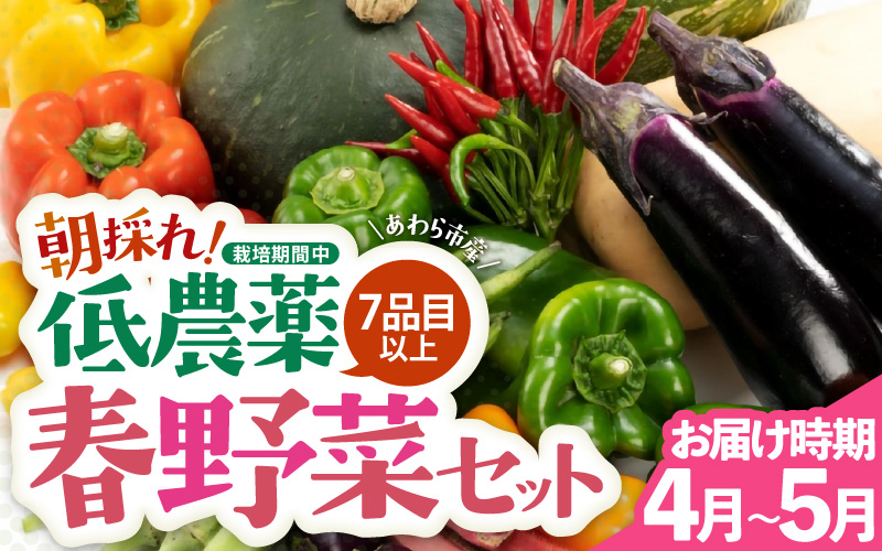 【先行予約】農家直送 春野菜セット 1箱 7品目以上 《元気に育った新鮮野菜！》 ※2026年4月下旬以降順次発送予定 [aw028-a008]