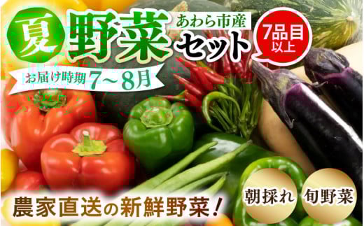 【先行予約】農家直送 夏野菜セット 1箱 7品目以上 《元気に育った新鮮野菜！》※2026年7月中旬以降発送 [aw028-a009]