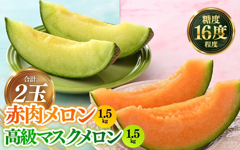 【先行予約】青肉アールスナイト 赤肉パリスメロン 秀品 各1玉（1.5kg以上×2玉）【アールス系メロン】《糖度16度程度！1株1果採りで育てる高級メロン！》／ 果物 フルーツ 農家直送 青肉 赤肉 セット マスクメロン アールスメロン ギフト 贈答用 ※2026年7月上旬より順次発送予定 [aw028-a013]