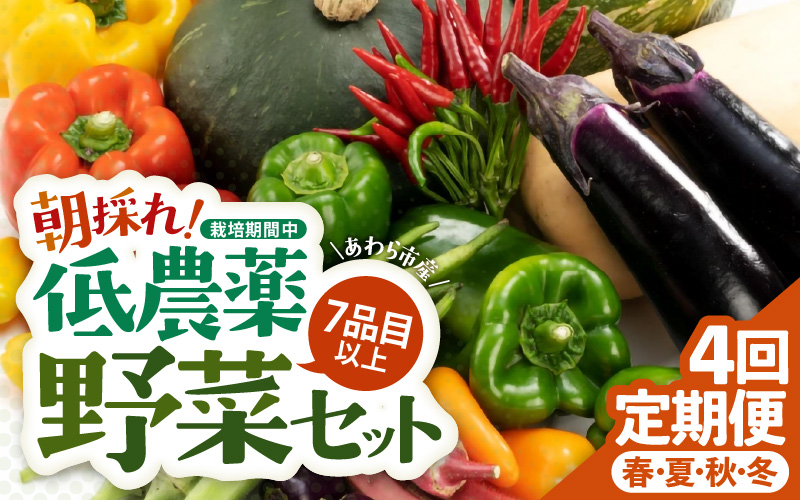 ＜定期便 4回＞ 新鮮野菜セット 1箱 7品目以上 【春 夏 秋 冬 発送】 [aw028-b001]