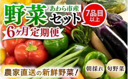 【6ヶ月連続お届け】農家直送 旬の野菜セット 7品目以上 1箱 ／ 定期便 6回 季節 野菜 ボックス BOX セット セレクト 農家 おまかせ 多品目 旬 詰め合わせ 根菜 葉物 [aw028-c002]
