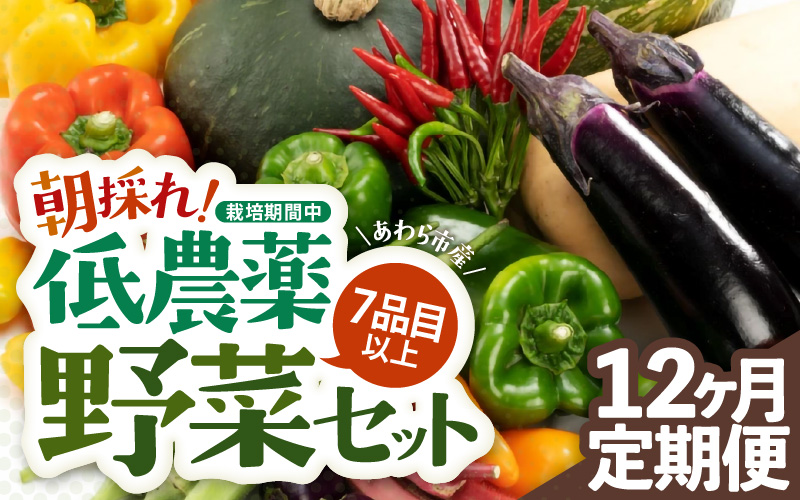 【12ヶ月連続お届け】農家直送 旬の野菜セット 7品目以上 1箱 / 定期便 12ヶ月 12回 [aw028-f001]