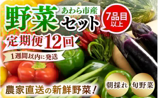 【12ヶ月連続お届け】農家直送 旬の野菜セット 7品目以上 1箱 / 定期便 12ヶ月 12回 [aw028-f001]