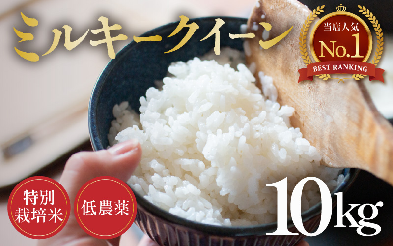 【先行予約】【令和8年産 新米】ミルキークイーン 10kg 精米 特別栽培米 低農薬 《食味値85点以上！こだわり精米》 / 福井県 あわら市 北陸 米 お米 人気 白米 精米 ※2026年9月上旬より順次発送 [aw032-c008]