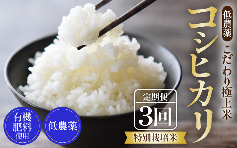 【先行予約】【令和8年産 新米】《定期便》5kg×3回 15kg 特別栽培米 コシヒカリ 低農薬 《食味値85点以上！こだわり極上米》 / 福井県 あわら 北陸 米 お米 人気 高品質 鮮度抜群 新米 ※2026年9月上旬より順次発送 [aw032-e006]