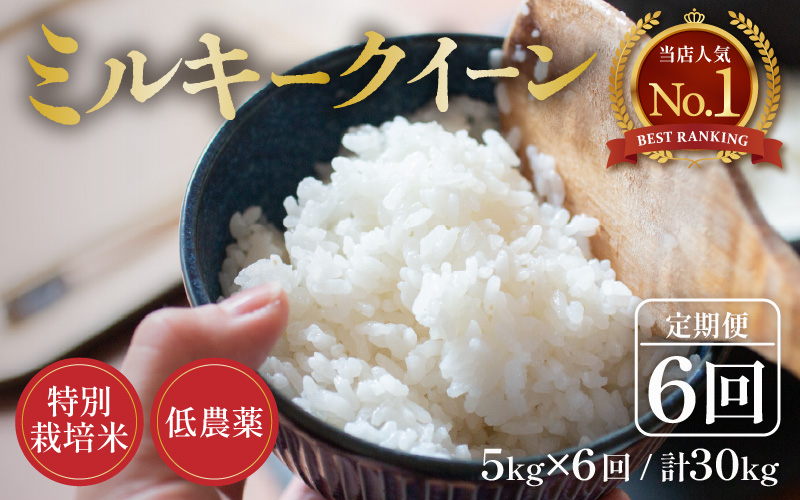 【先行予約】【令和8年産 新米】定期便《6ヶ月連続お届け》5kg×6回（計30kg） 特別栽培米 ミルキークイーン 精米 低農薬 《食味値85点以上！こだわり精米》 / 福井県 あわら市 北陸 米 お米 人気 白米 精米 ※2026年9月中旬より順次発送 [aw032-j005]
