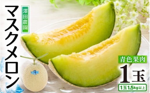 【先行予約】青肉マスクメロン（1.5kg以上 1玉入）味も見た目も抜群！アールスメロン  / 期間限定 果物 フルーツ 産地直送 青肉 人気 ギフト 贈答 ※2026年7月上旬より順次発送 [aw039-a015]
