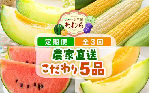 【先行予約】≪定期便/全3回≫フルーツ王国あわらのこだわり5品 農家直送 厳選品／ 期間限定 果物 フルーツ 青肉メロン 赤肉メロン 西瓜 とうもろこし 産地直送 ※2026年6月中旬より順次発送 [aw039-c001]