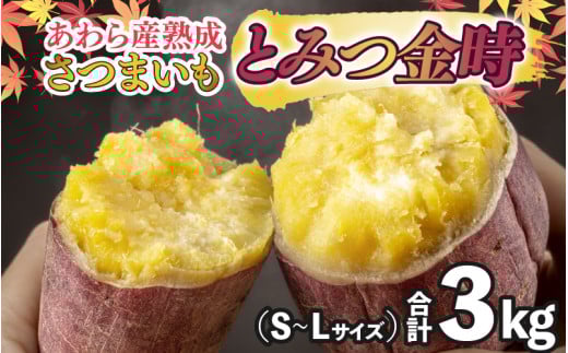 【先行予約】さつまいも とみつ金時 3kg（S～Lサイズ）あわら産 熟成 ／ 焼き芋 スイートポテト 農家直送 期間限定 野菜 常備【2025年12月中旬以降順次発送予定】 [aw041-a002]