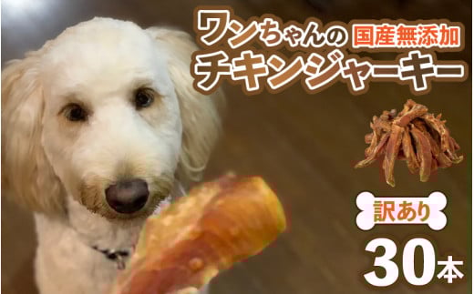 【訳あり】【国産 鶏肉】 ３0本入り ワンちゃんのチキンジャーキー / ドックフード 手作り やみつき くいつき 犬用 小型犬 中型犬 大型犬 ペットフード 味付けなし [aw044-a003]