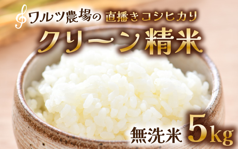 【先行予約】【令和8年産 新米】ワルツ農場の直播き コシヒカリ クリーン精米（無洗米） 5kg / お米 ご飯 白米 発送直前 精米 つや 艶 甘味 旨み あわら市産 福井県産 慣行栽培 コメ 北陸 福井県 あわら市 ※2026年10月下旬以降発送予定 [aw046-a007]