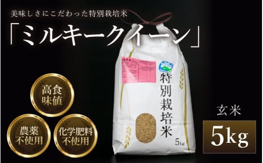 【先行予約】【令和8年産 新米】 ミルキークイーン 玄米 5kg 特別栽培米 農薬不使用 化学肥料不使用 ／ 高品質 鮮度抜群 福井県産 ブランド米 ※2026年10月上旬以降順次発送 [aw063-a007]