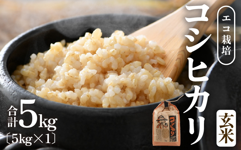 【先行予約】【令和8年産 新米】エコ栽培コシヒカリ　玄米5kg ／ 鮮度抜群 福井県産 こしひかり ご飯 新鮮 玄米 ※2026年10月上旬以降順次発送 [aw063-a013]