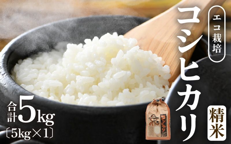 【先行予約】【令和8年産 新米】エコ栽培コシヒカリ　白米5kg ／ 鮮度抜群 福井県産 こしひかり ご飯 新鮮 白米 ※2026年10月上旬以降順次発送 [aw063-a014]
