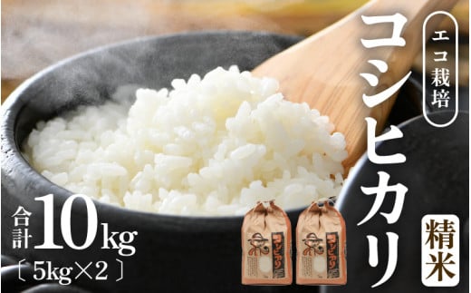 【先行予約】【令和8年産 新米】エコ栽培コシヒカリ 白米10kg（5kg×2） ／ 鮮度抜群 福井県産 こしひかり ご飯 新鮮 白米 ※2026年10月上旬以降順次発送 [aw063-b008]