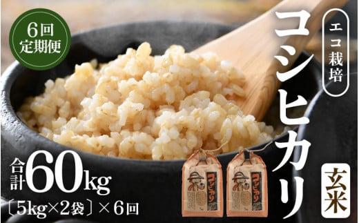 【先行予約】【令和8年産 新米】《定期便6回》エコ栽培コシヒカリ 玄米10kg（5kg×2袋）計60kg ／ 鮮度抜群 福井県産 こしひかり ご飯 新鮮 玄米 ※2026年10月上旬以降順次発送 [aw063-k001]