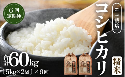 【先行予約】【令和8年産 新米】《定期便6回》エコ栽培コシヒカリ 白米10kg（5kg×2袋）計60kg ／ 鮮度抜群 福井県産 こしひかり ご飯 新鮮 白米 ※2026年10月上旬以降順次発送 [aw063-l004]