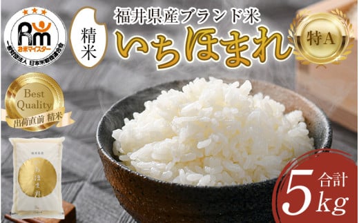 【令和7年産・新米】いちほまれ 精米 5kg×1袋《お米マイスター厳選！発送直前に精米！》 ／ 福井県産 ブランド米 ご飯 白米 新鮮 [aw064-a015]
