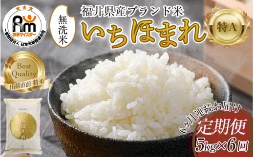 【令和7年産】定期便6回 いちほまれ 無洗米 5kg×6回（30kg）／ 福井県産 ブランド米 ご飯 白米 新鮮 [aw064-j001]