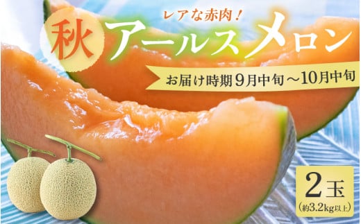 【先行予約】【赤肉】秋 アールスメロン 2玉（計約3.2kg以上）赤肉品種 高級メロン！ ／ マスクメロン 大玉 果物 フルーツ 夏 ギフト 農家直送  ※2026年9月中旬以降発送 [aw065-a011]