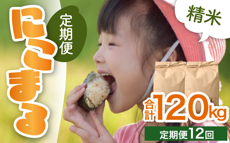 【令和7年産 新米】定期便《12ヶ月連続お届け》精米 にこまる 10kg （5kg×2袋）計120kg ＜低農薬栽培＞ ／ 高品質 鮮度抜群 福井県 あわら市産 ブランド米 白米 お米 米 [aw066-o001]