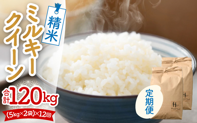 【令和7年産】定期便《12ヶ月連続お届け》ミルキークイーン 精米 10kg（5kg×2袋）計120kg＜低農薬栽培＞ ／ 高品質 鮮度抜群 福井県あわら市産 白米 お米 米 [aw066-p001]