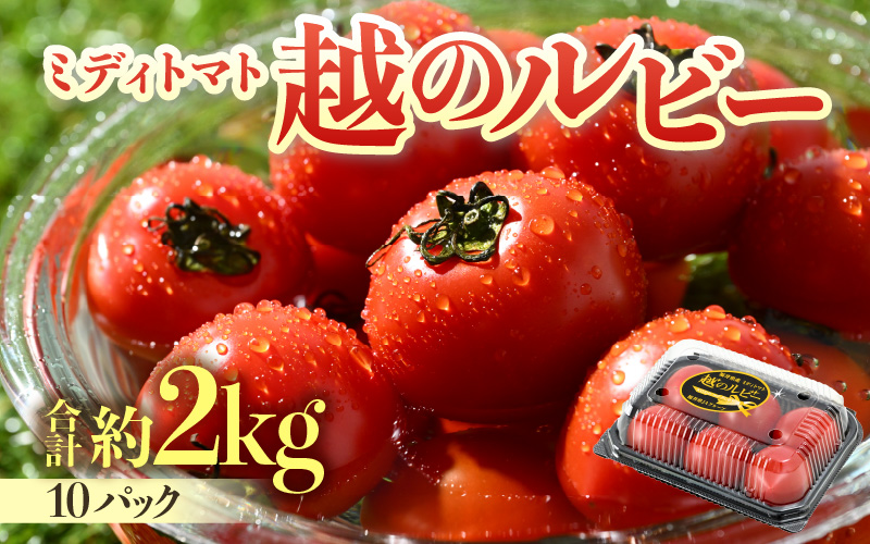 【先行予約】ミディトマト 越のルビー 約2kg 10パック（8パック＋品質補償2パック）／ 福井県産 ブランド トマト 福井県産ブランドトマト 農家直送 有機肥料 低農薬 完熟 甘い ※2026年9月下旬より順次発送 [aw069-a005]