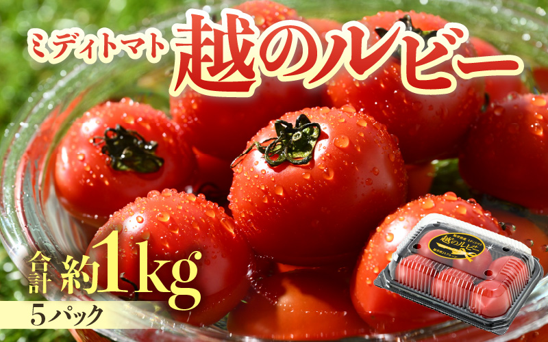 【先行予約】ミディトマト 越のルビー パック入り 約1kg 5パック（4パック＋品質補償1パック） / 福井県産 ブランド トマト 福井県産ブランドトマト 農家直送 有機肥料 低農薬 完熟 甘い ※2026年9月下旬より順次発送 [aw069-a009]