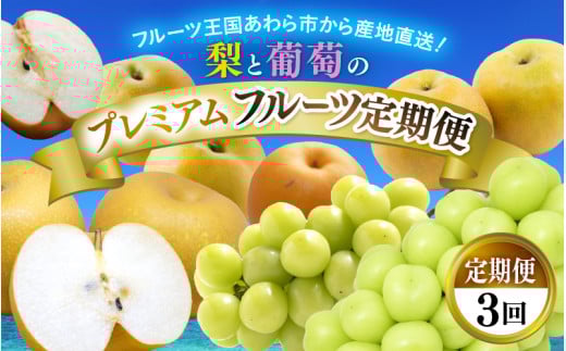 【先行予約】《定期便3回》梨 葡萄 プレミアム フルーツ定期便 朝採り（幸水梨 シャイン マスカット 新興梨）樹上で完熟させた大玉 大粒 お届け！ ※2026年8月中旬頃より順次発送 [aw070-d001]
