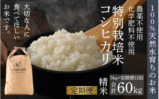 【先行予約】【令和8年産 新米】《定期便12回》伊与衛門農園のコシヒカリ 精米 5kg （計60kg）特別栽培米 化学肥料不使用 ＜温度と湿度を常時管理し新鮮米を出荷！＞／ 高品質 鮮度抜群 福井県あわら産 ブランド米 白米 お米 ※2026年10月上旬以降順次発送 [aw071-o002]