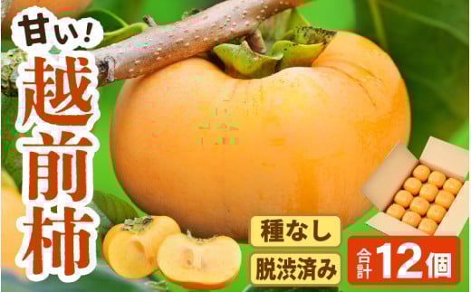 【先行予約】【種なし】 甘い！越前柿12個入り 脱渋済み 本場柿原郷で収穫 ※2026年10月中旬以降順次発送予定 [aw082-a001]