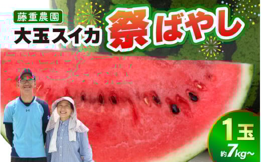 【先行予約】藤重農園の大玉スイカ『祭ばやし』 1玉（7kg～） ≪満足度高い大きなスイカ≫※2026年6月中旬以降順次発送 [aw083-a001]