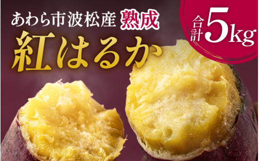 あわら市波松産 紅はるか 5kg / 厳選 不揃い さつまいも 土付き 熟成 焼き芋 福井県 薩摩芋 密芋 スイートポテト しっとり ほっくり 自然のスイーツ 極甘 農研機構許諾済 メディアで人気 腸活 [aw084-a002]