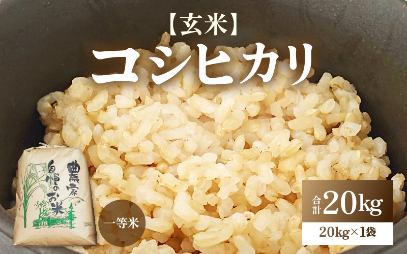 【先行予約】【令和8年産】コシヒカリ 玄米 20kg / 米 こしひかり コシヒカリ 福井県 一等米 玄米 あわら市 福井県 コスパ ※2026年9月下旬より順次発送予定 [aw096-d003]