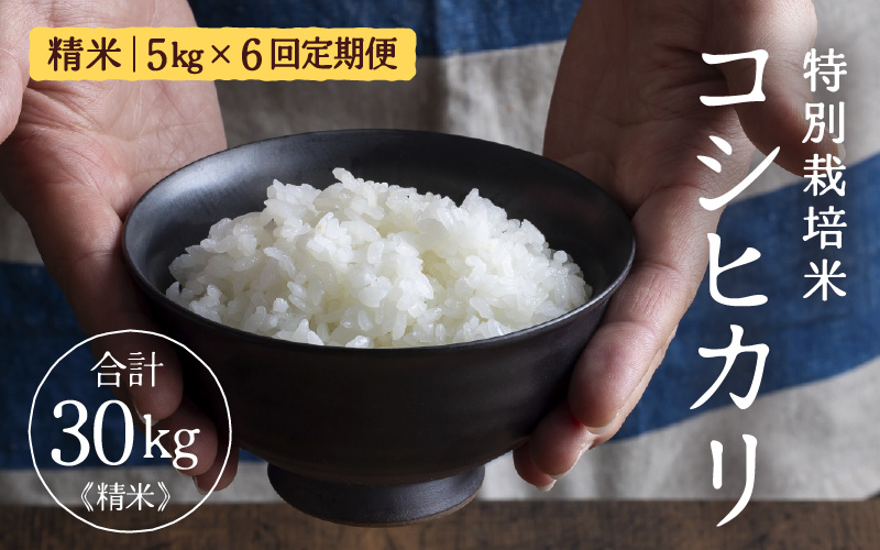 定期便 ≪6ヶ月連続お届け≫ 令和7年産 特別栽培米 コシヒカリ 精米 5kg×6回（計30kg） [aw121-i001]