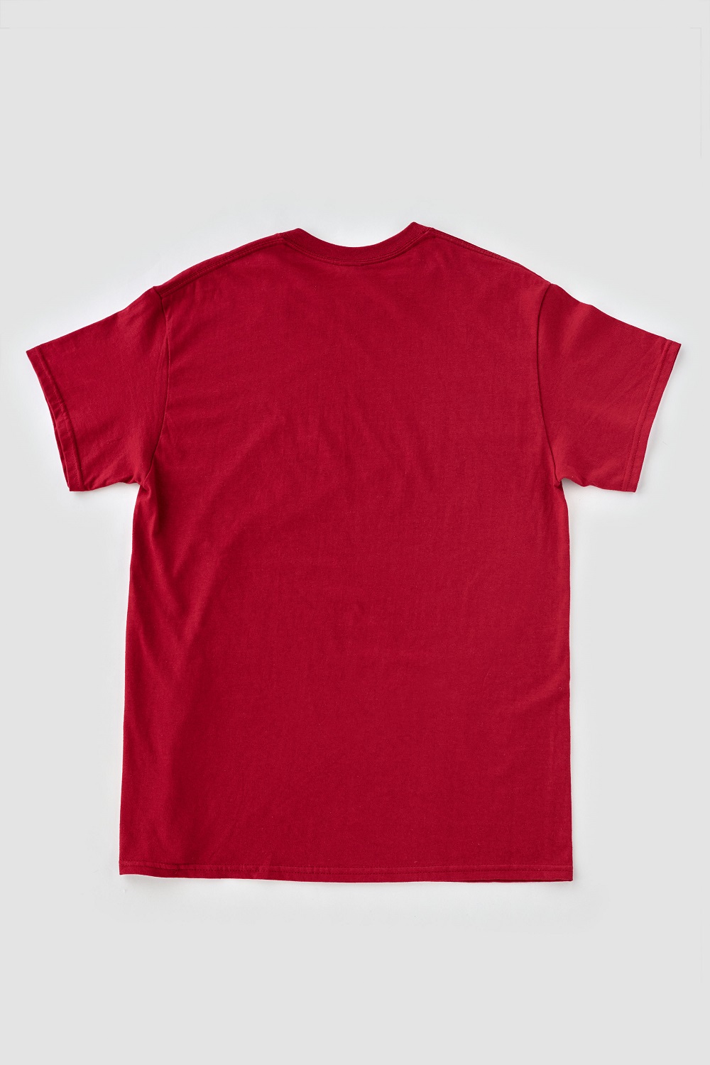 池田の伝統行事「田楽能舞」Tシャツ　【赤色　Lサイズ】