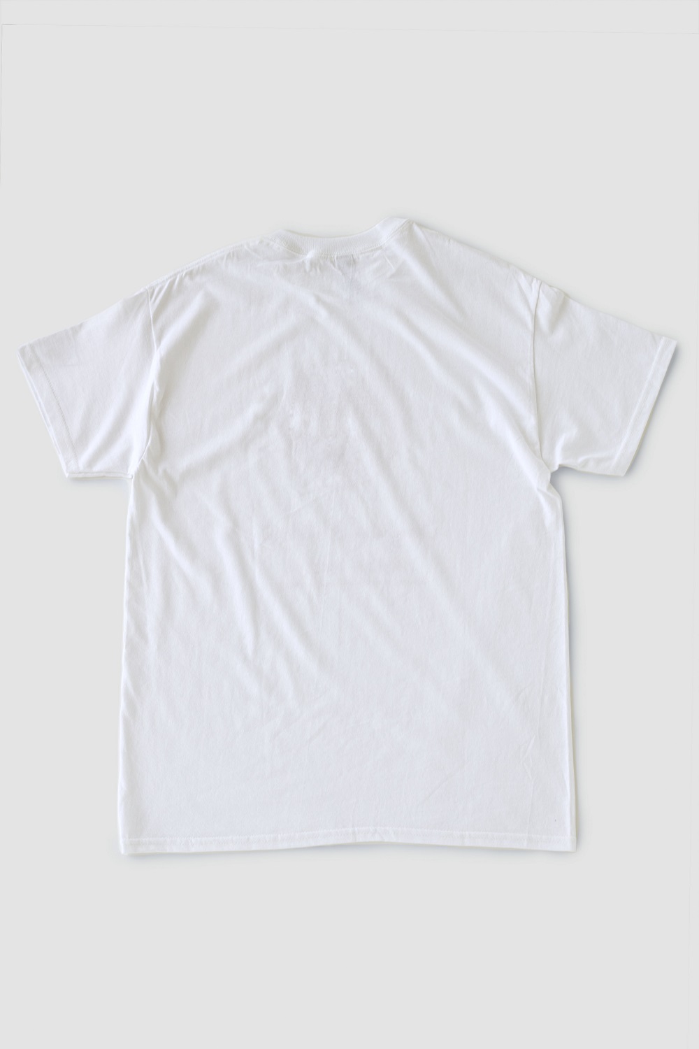 池田の伝統行事「田楽能舞」Tシャツ　【白色　Mサイズ】