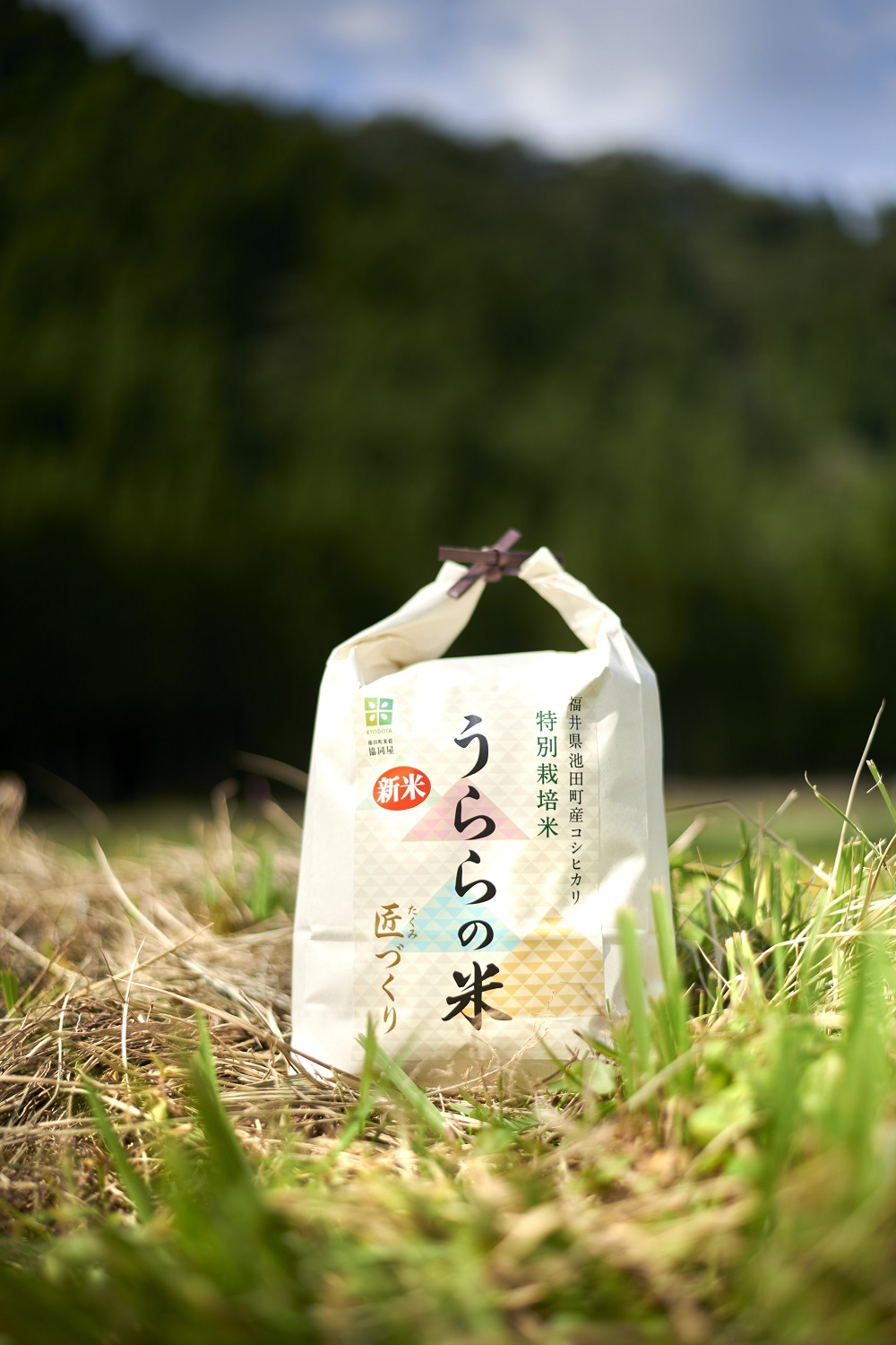 池田町産コシヒカリと万能調味料「池田生七味」とおかず味噌のセット