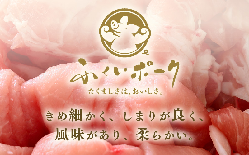 「福井県ブランド豚」ふくいポーク 切り落とし 500g（500g × 1パック）【銘柄豚 福井県産 ポーク 豚肉 ぶたにく  使い勝手抜群 ぶた丼 豚汁 生姜焼き 煮物  三元交配 肉  冷凍 小分け バーべキュー 国産】 [e02-a030]