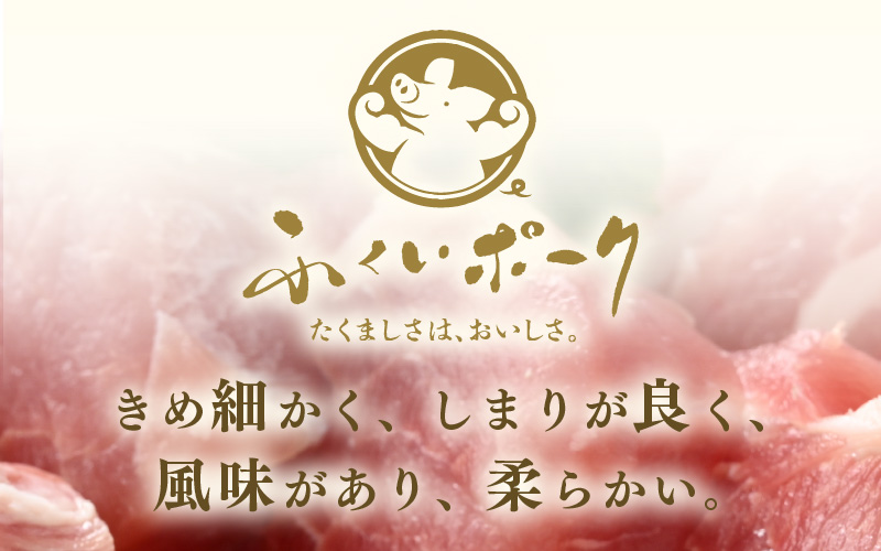 「福井県ブランド豚」ふくいポーク 豚ヒレ切り身 600g（300g × 2パック）【小分けカット 銘柄豚 福井県産 ポーク 豚肉 ぶたにく カット済み豚ヒレ ひとくちポーク 豚カツ肉  使い勝手抜群 三元交配 とんかつ肉 冷凍肉 弁当肉 惣菜肉 バーべキュー 国産】 [e02-a037]