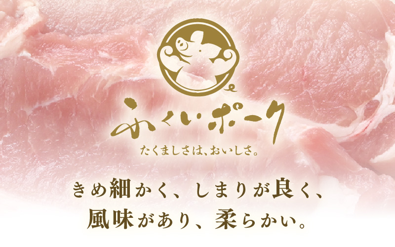 「福井県ブランド豚」ふくいポーク ロース 100g × 20枚 合計2kg（2枚入り × 10p）【とんかつ トンテキ 銘柄豚 福井県産 ポーク 豚肉 切り身 ぶたにく カット済み豚ロース ポーク 豚カツ肉  使い勝手抜群 三元交配  冷凍肉  惣菜肉 バーべキュー 国産 小分け】 [e02-b021]