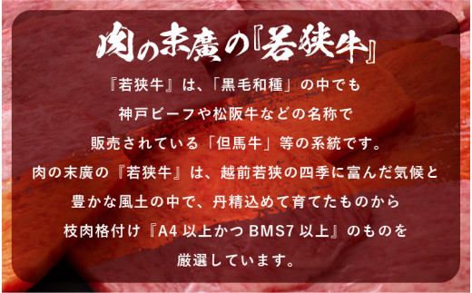若狭牛 和牛ロース焼肉用 計500g（250g × 2パック）福井県産 ロースA4等級 以上を厳選！【牛肉 黒毛和牛 黒毛 和牛 冷凍 小分け バーべキュー グルメ】 [e02-c011]