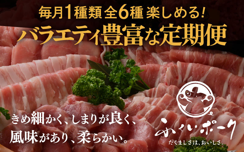 定期便 ≪6ヶ月連続お届け≫ 「福井県ブランド豚」ふくいポーク6種 合計5.5kg【銘柄豚 福井県産 ポーク 豚肉 ぶたにく カット済み豚ヒレ ひとくちポーク 豚カツ肉  使い勝手抜群 三元交配 とんかつ肉 冷凍肉 弁当肉 惣菜肉 バーべキュー 国産 小分けカット】 [e02-f003]