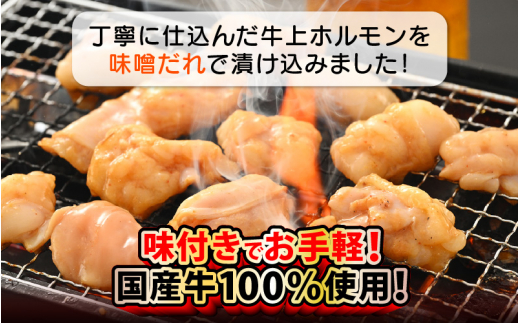 国産牛 上ホルモン 計500g（250g × 2袋）シマチョウ・ぷるぷる小腸のセット 旨みそダレ漬！【 お手軽 小分け BBQ バーベキュー 】 [e03-a016]