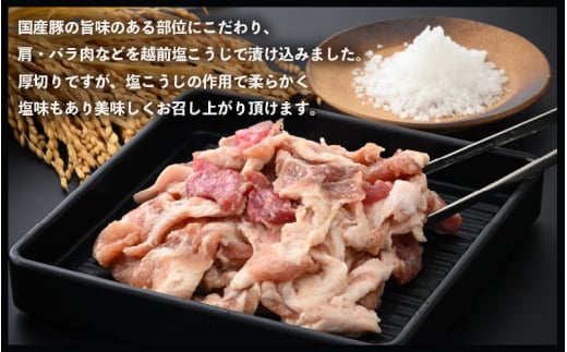 国産豚 塩こうじ漬け 約1kg（便利な小分け 180g × 6袋）フライパンで簡単調理♪【塩麹漬け 真空包装 冷凍 国産 BBQ おつまみ お弁当 惣菜 人気 お手軽】 [e03-a022]