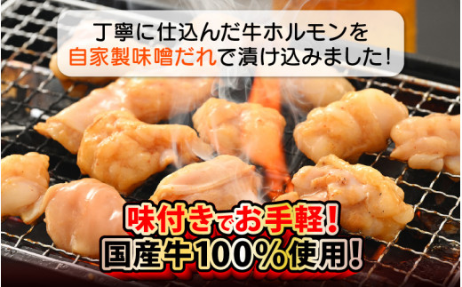国産 牛ホルモン セット 計400g（上ホルモン・ミックスホルモン 各1袋） 旨みそダレ漬け！ 【 冷凍 お手軽 小分け BBQ バーベキュー 】 [e03-a027]